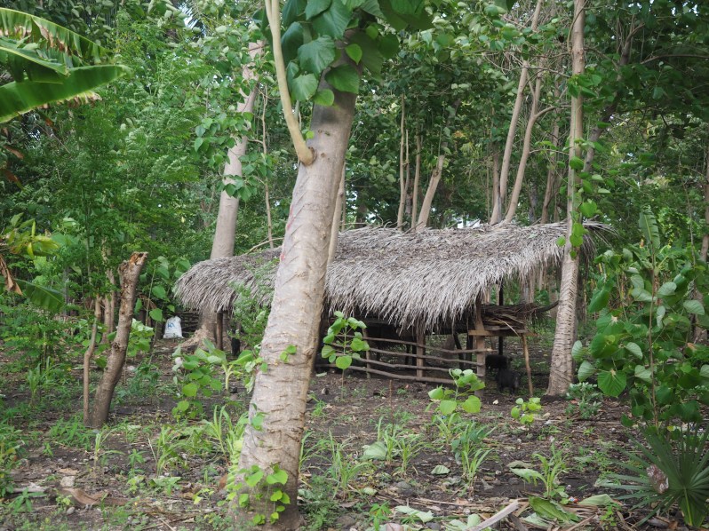 atauro-island-timor-leste