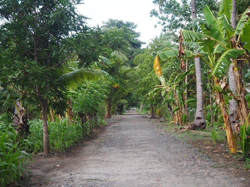 atauro-island-timor-leste