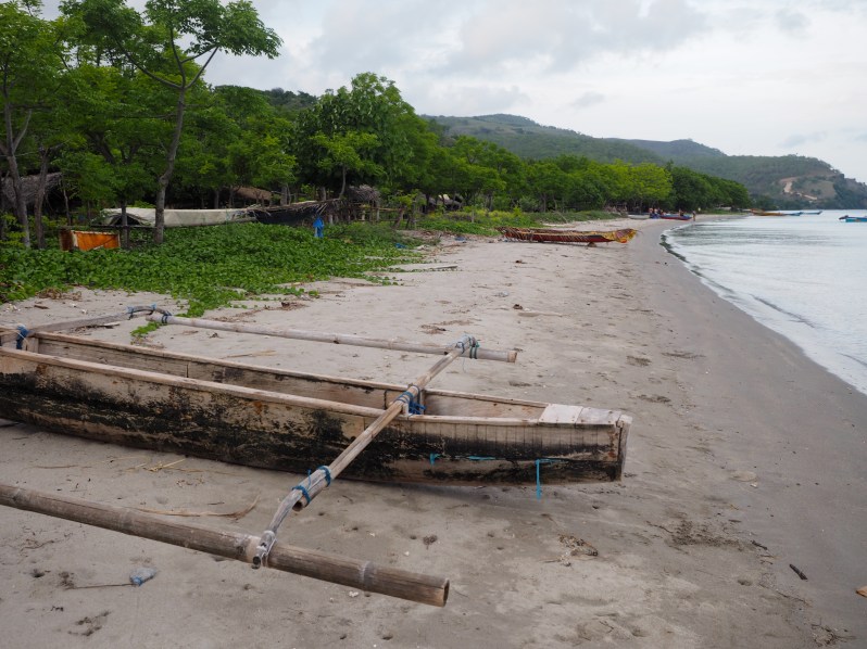 barrys-atuaro-timor-leste