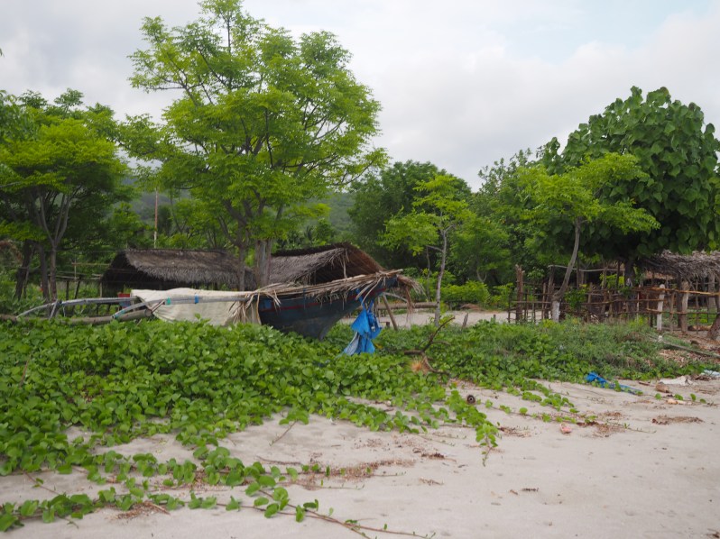 barrys-atuaro-timor-leste