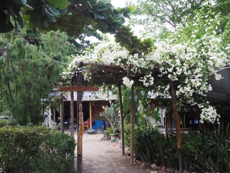 barrys-atuaro-timor-leste