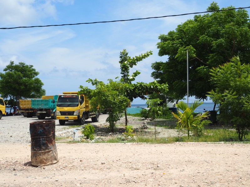 barrys-atuaro-timor-leste