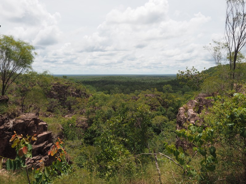 tolmer-falls-litchfield-darwin