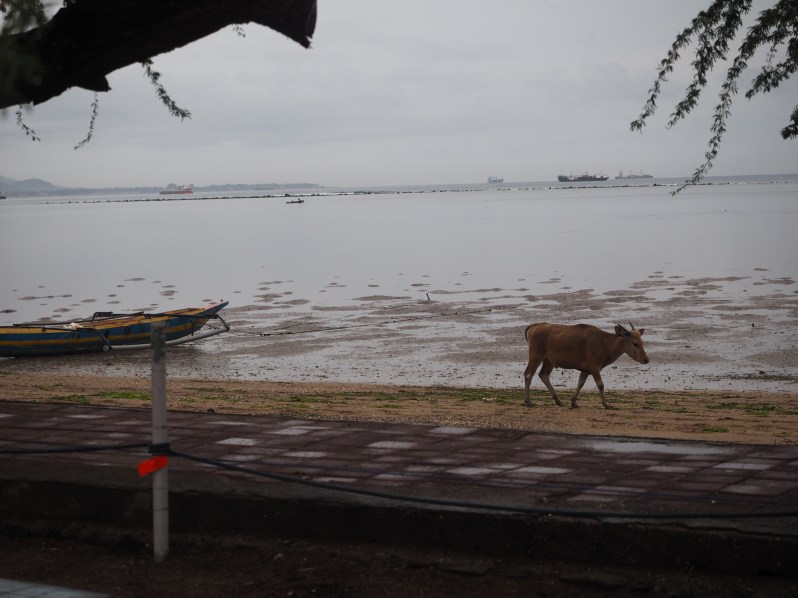 timor-leste-east-dili