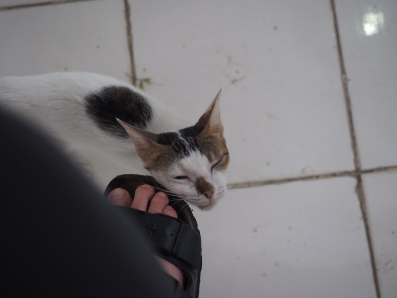 timor-leste-east-dili