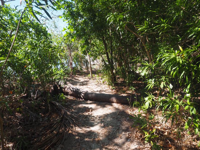 snake-island-el-nido