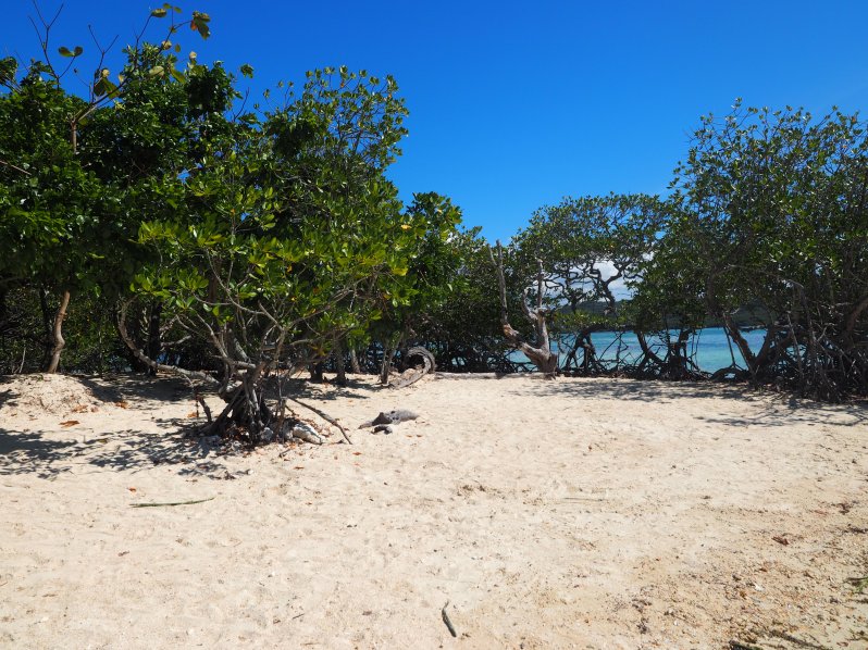 snake-island-el-nido
