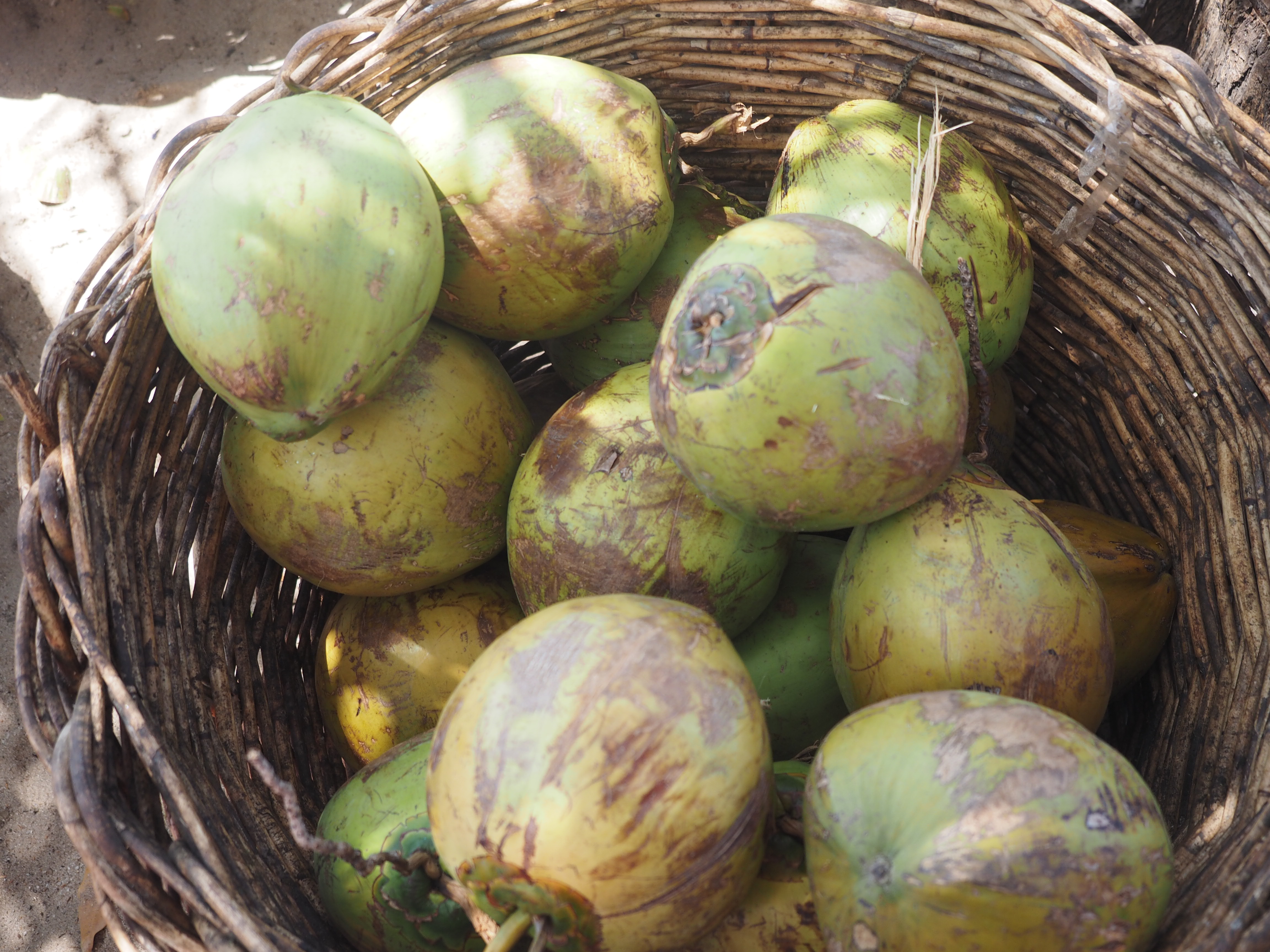 honda-bay-puerto-princesa