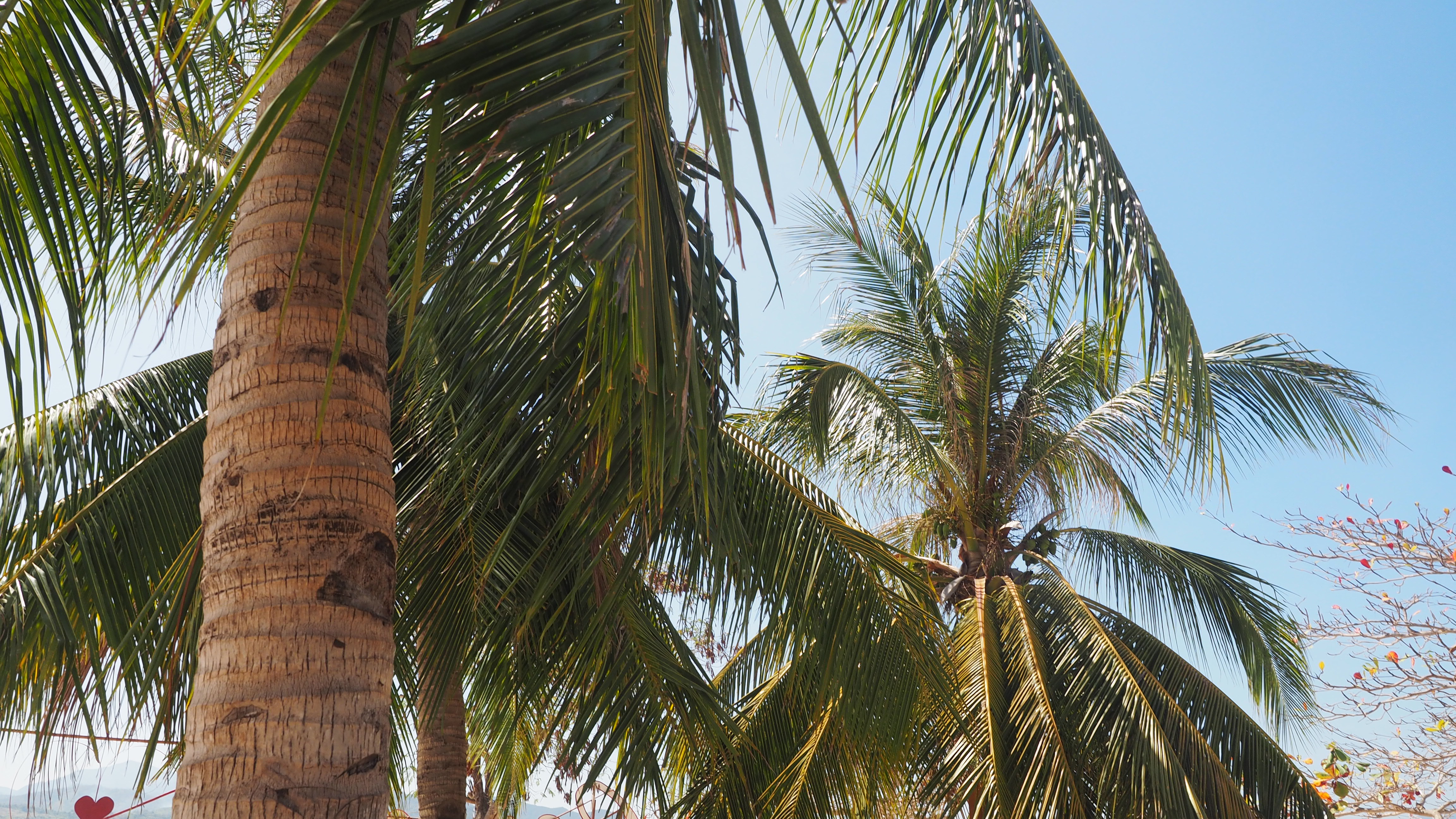 cowrie-island-puerto-princesa