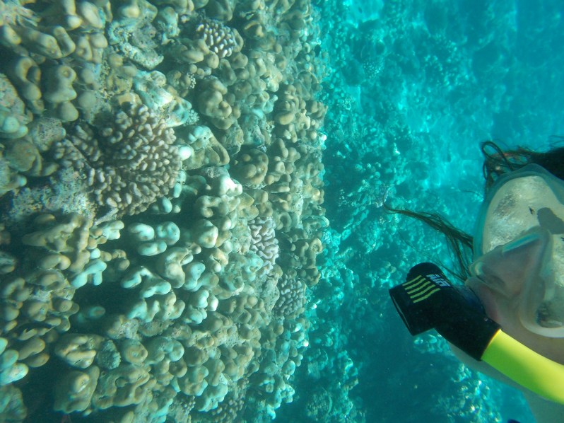 maldives-reethi-snorkel-wwellend