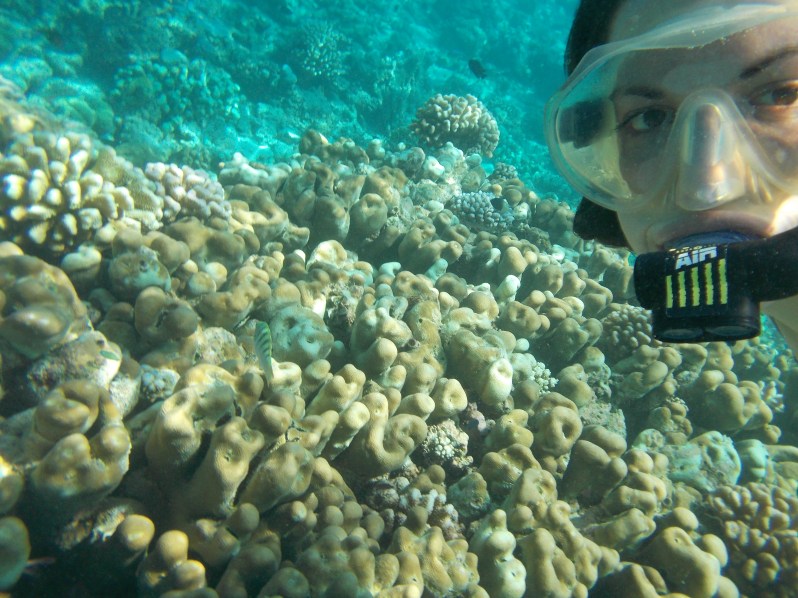 maldives-reethi-snorkel-wwellend