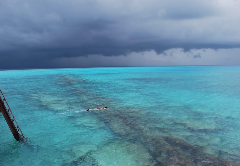 Photo courtesy of Kate Oats