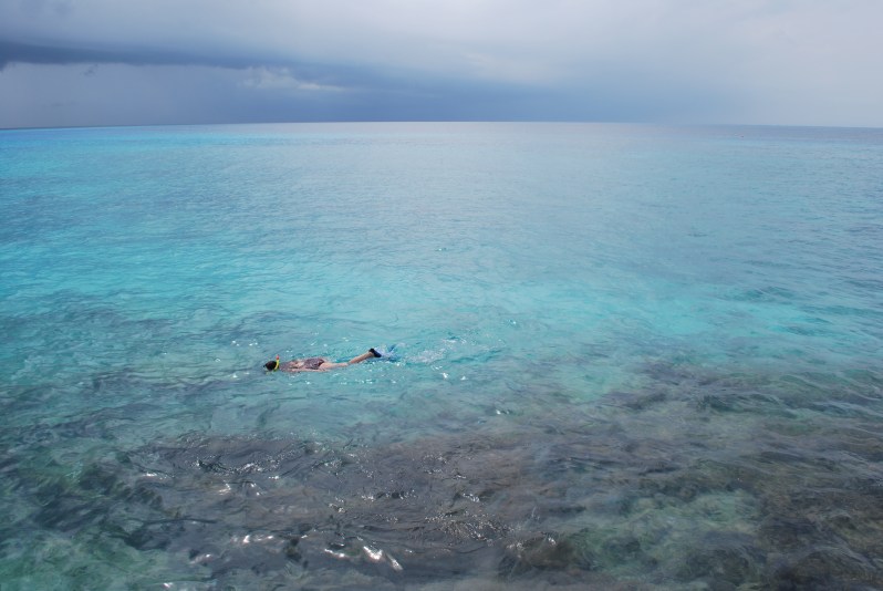 Photo courtesy of Kate Oats