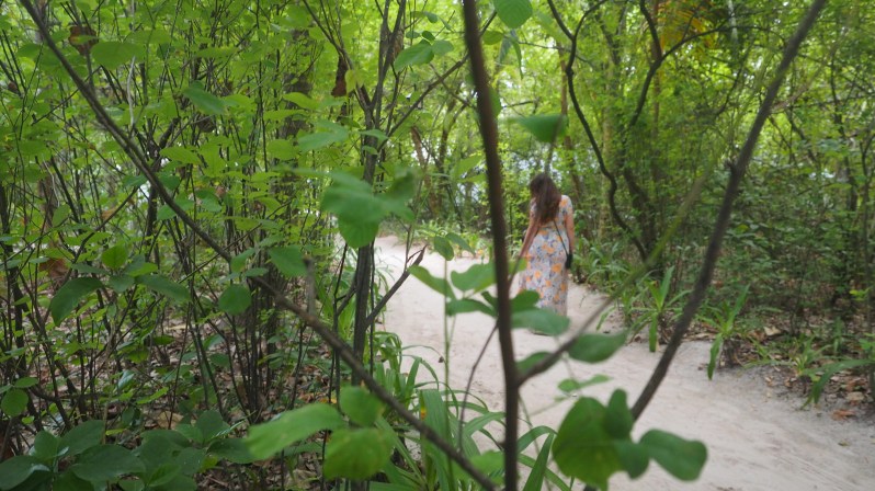 wwellend-reethi-beach-maldives
