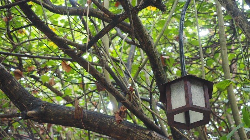 reethi-beach-wwellend-maldives