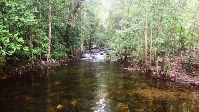 florence-falls-northern-territory