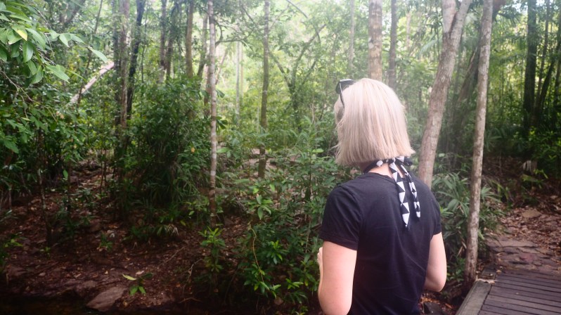 florence-falls-northern-territory