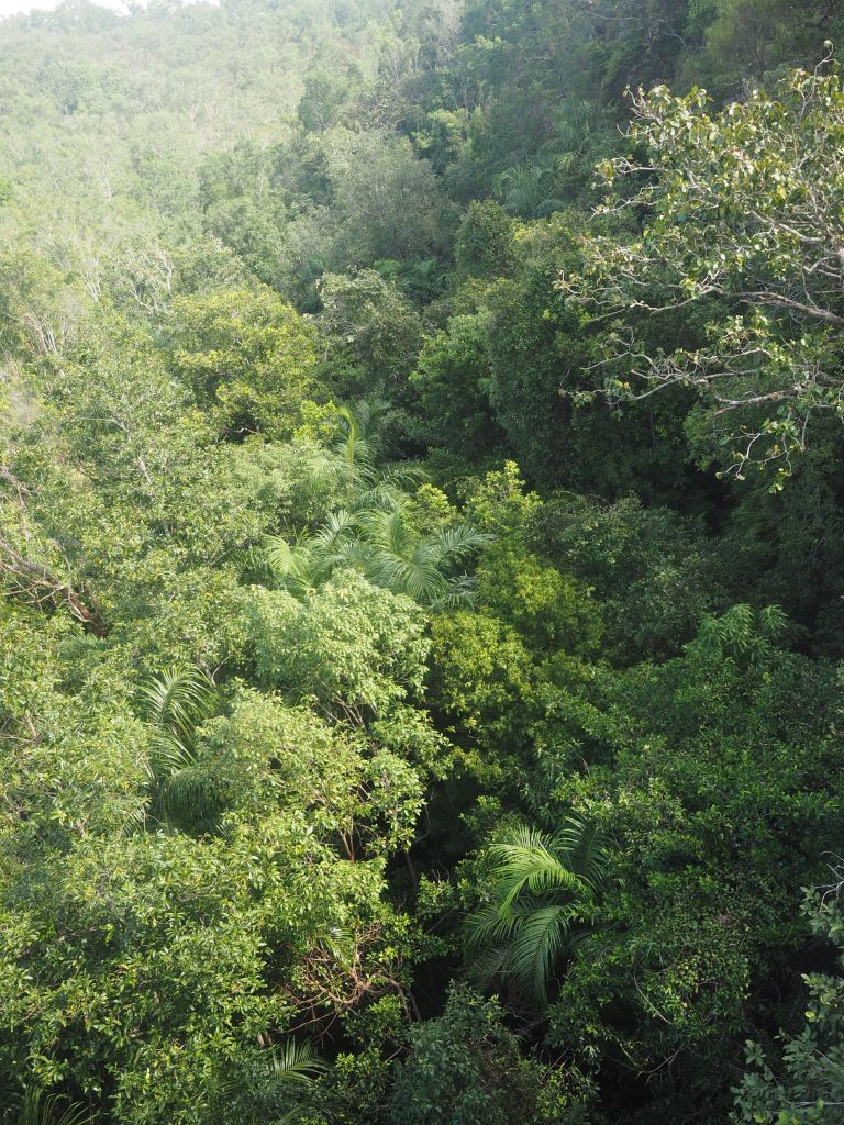 florence-falls-northern-territory