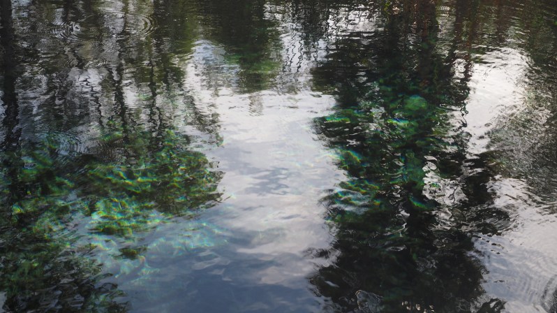 bitter-springs-mataranka-katherine