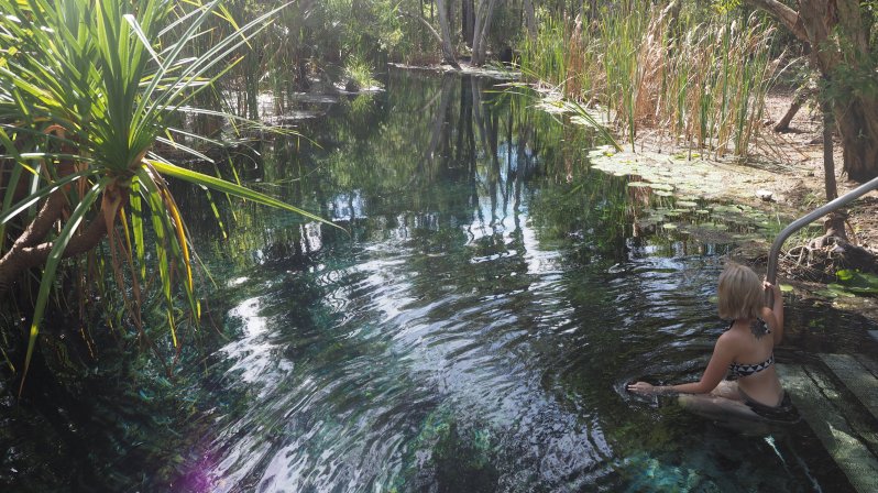 bitter-springs-mataranka-katherine