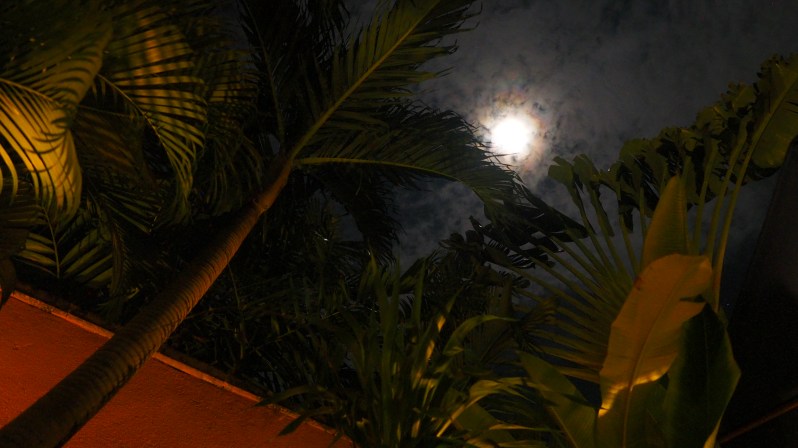 kunja-seminyak-bali-indonesia