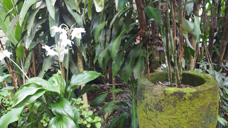 hanging-gardens-bali-indonesia
