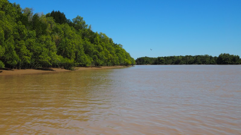 adelaide-river-darwin-crocodile