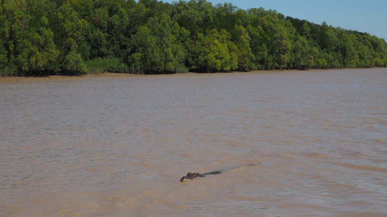 adelaide-river-darwin-crocodile