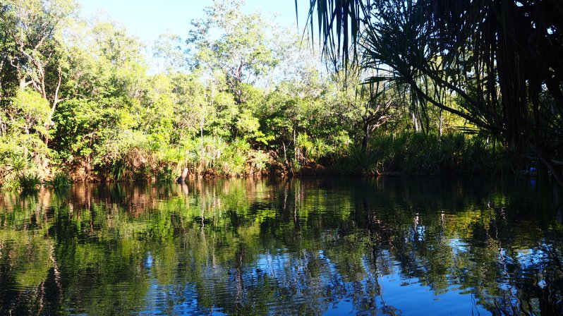 berry-springs-darwin-australia