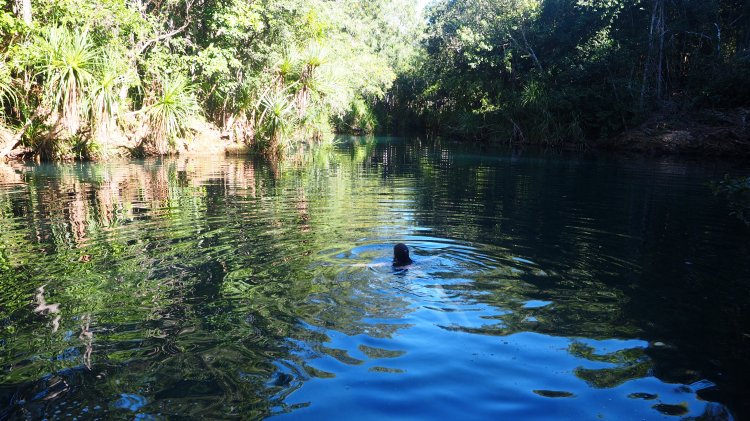 berry-springs-darwin-australia