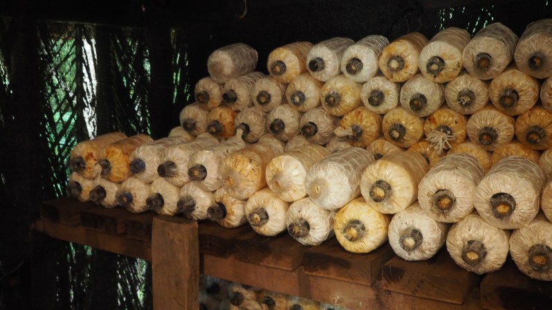 soneva-kiri-kohkood-thailand