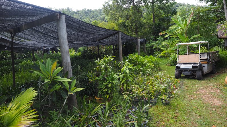 soneva-kiri-kohkood-thailand