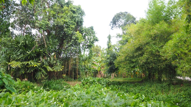 soneva-kiri-kohkood-thailand