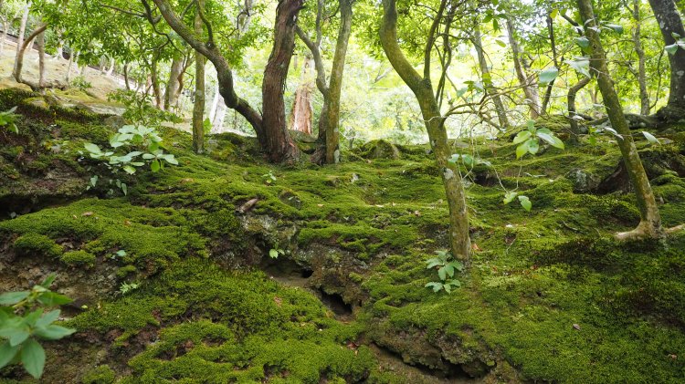 kyoto-gion-ginkakuji-silver-pavillion