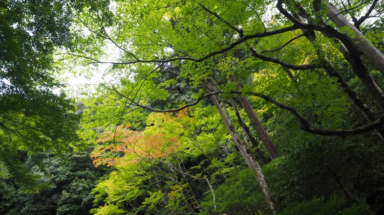 kyoto-gion-ginkakuji-silver-pavillion