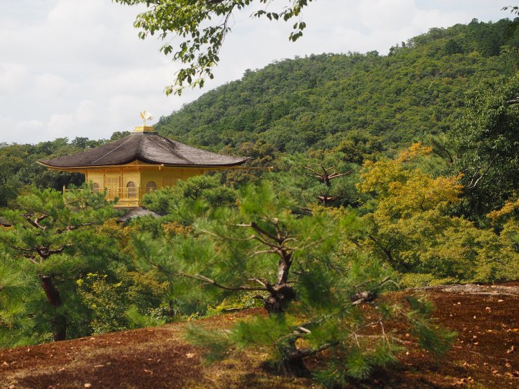 kyoto-japan-kinkakuji-golden-pavillion
