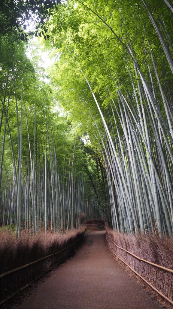 kyoto-arashiyama-bamboo-japan