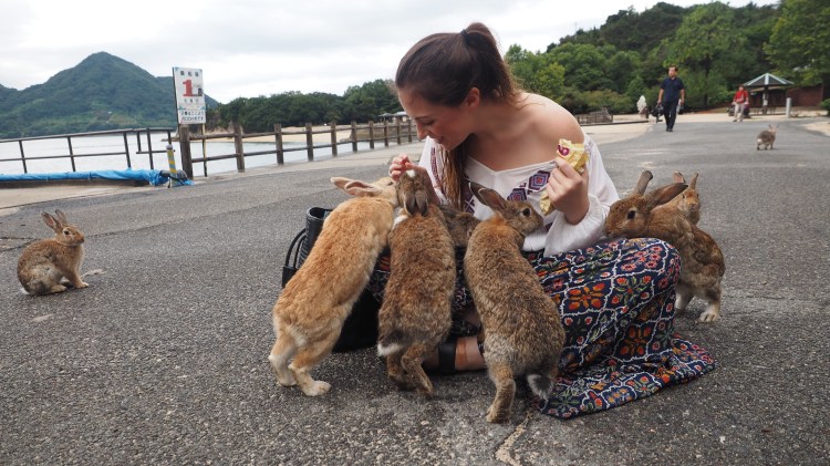 okunoshima-bunny-island-japan