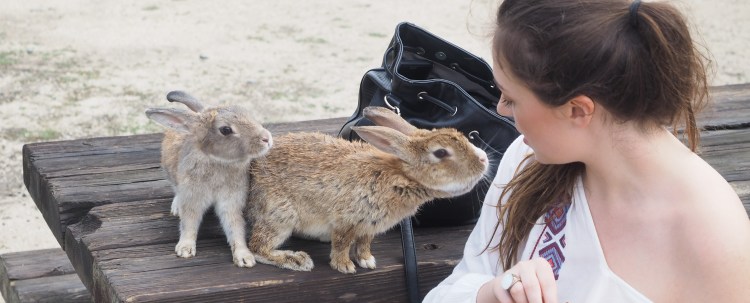 okunoshima-bunny-island-japan