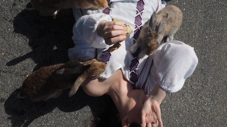 okunoshima-bunny-island-japan