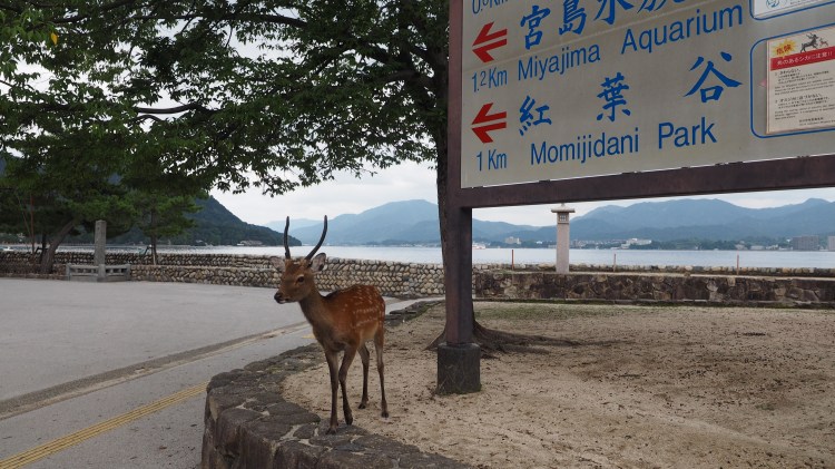 Itsukushima-miyajima-hiroshima-japan