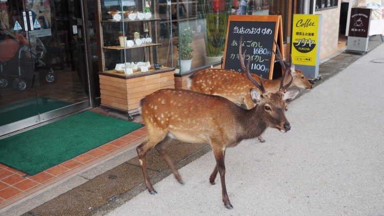 Itsukushima-miyajima-hiroshima-japan