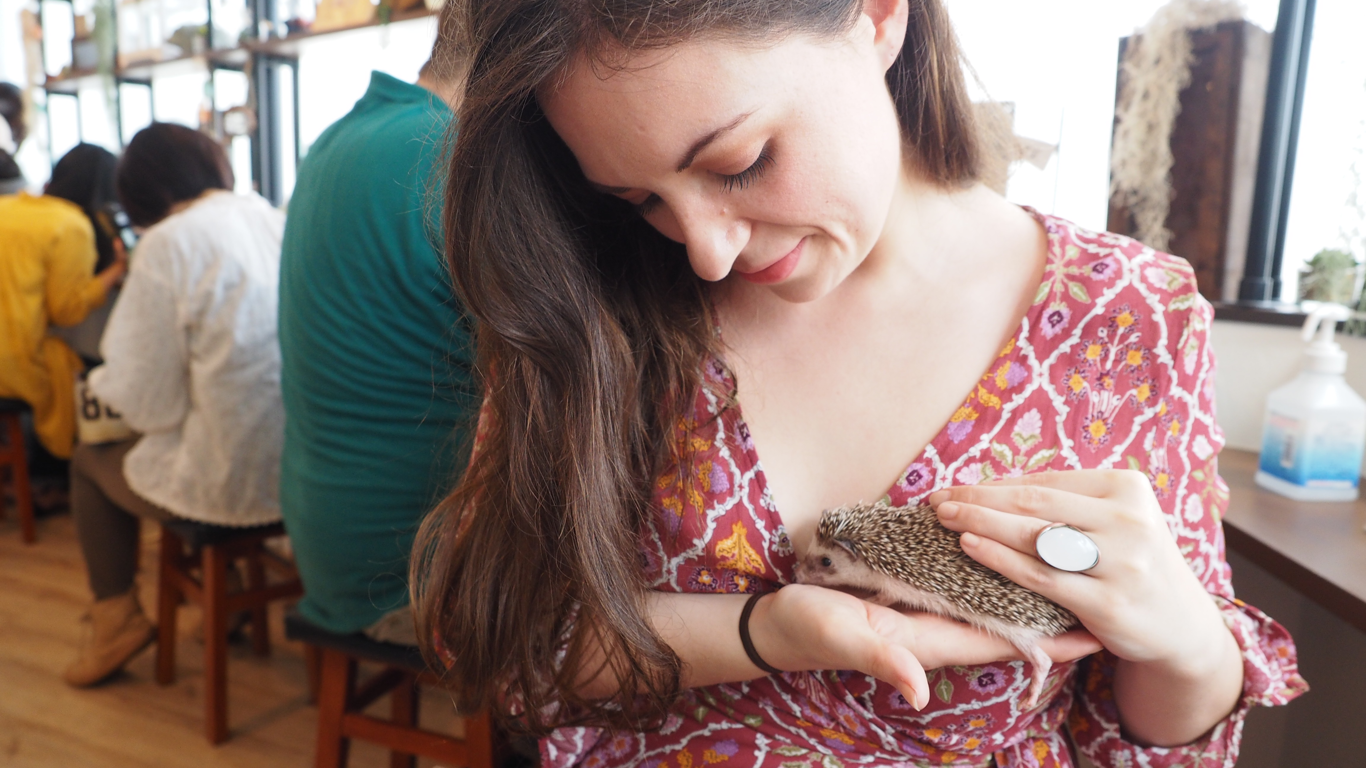 harrys-hedgehog-cafe-tokyo-japan-travel-blog-solo-female