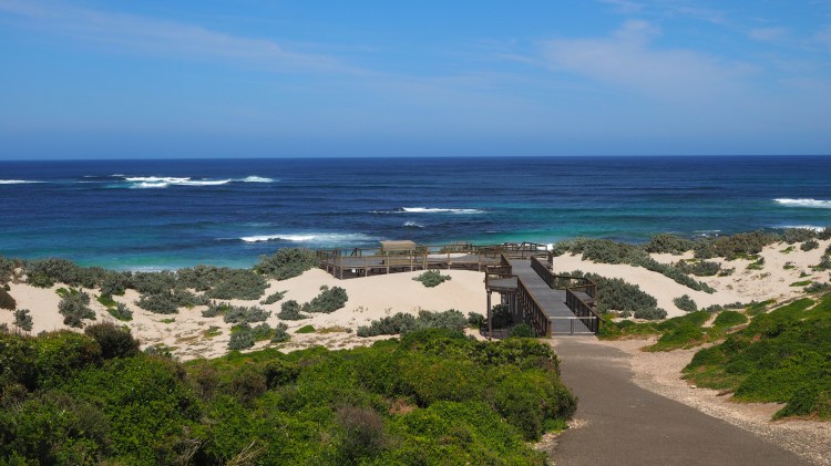 seal-bay-australia-kangaroo-island