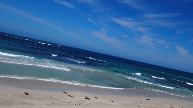 seal-bay-australia-kangaroo-island