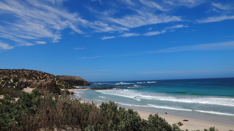 seal-bay-australia-kangaroo-island