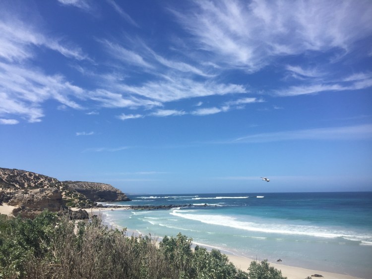seal-bay-australia-kangaroo-island