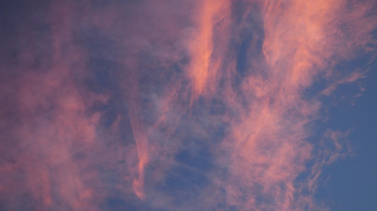 marion-bay-south-australia