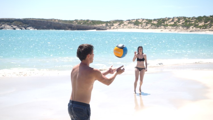 dolphin-marion-bay-south-australia
