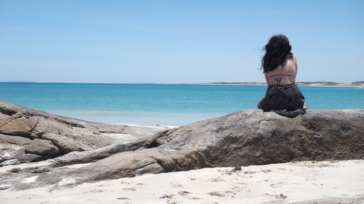 dolphin-marion-bay-south-australia